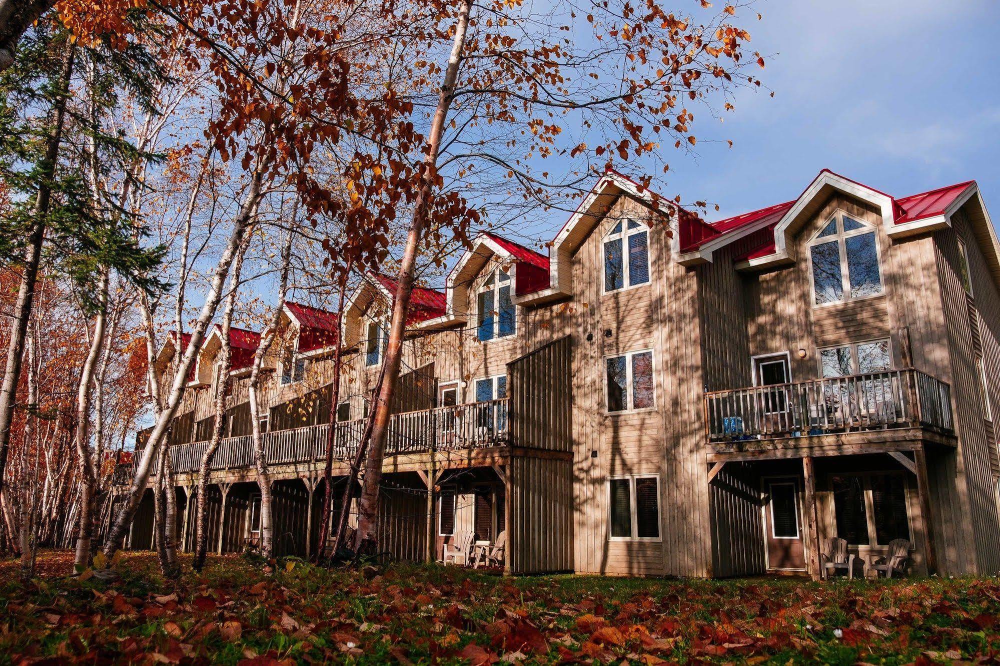 Marblewood Village Resort Steady Brook Экстерьер фото