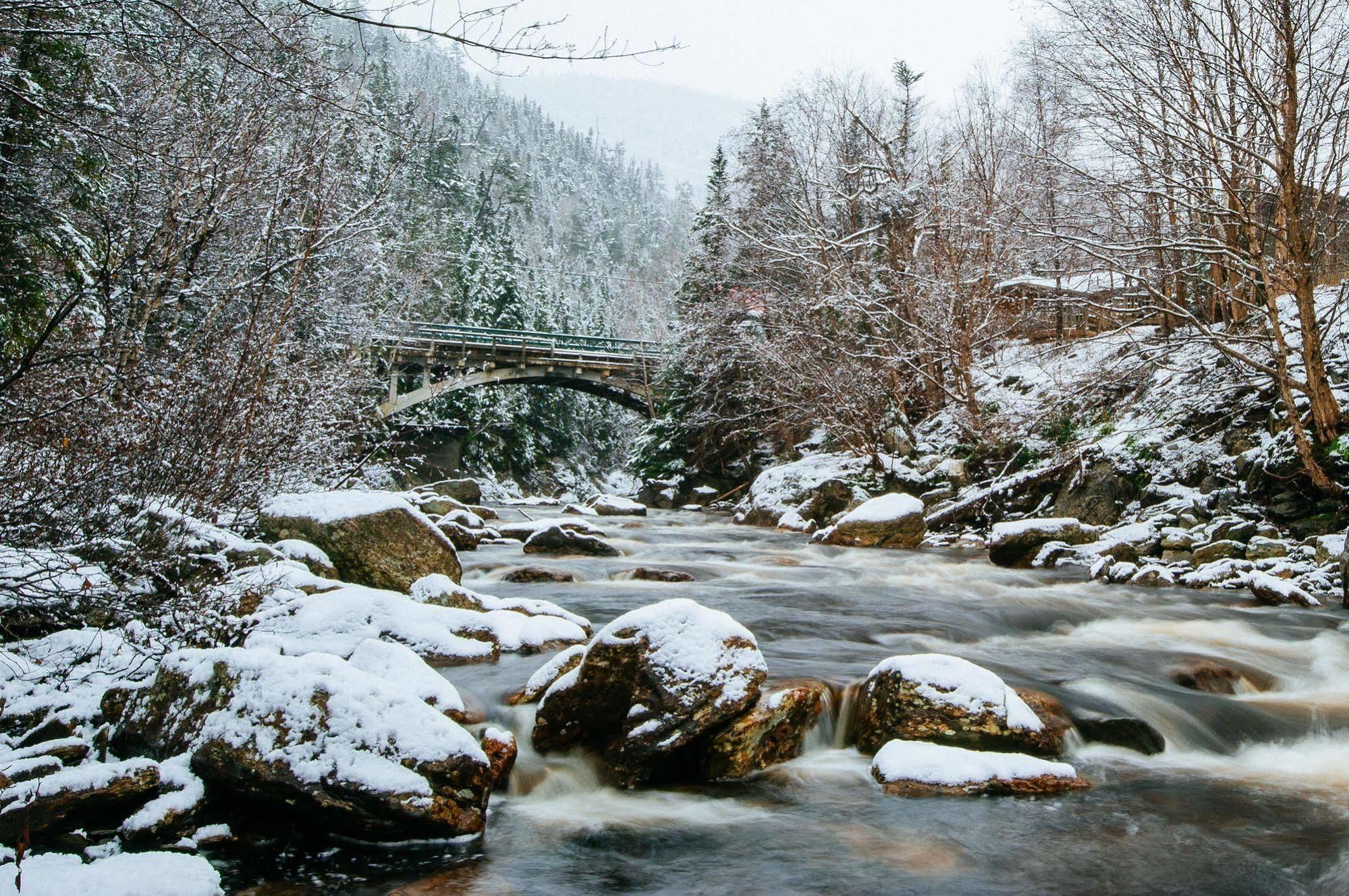 Marblewood Village Resort Steady Brook Экстерьер фото